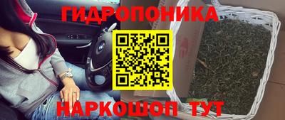 Альфа ПВП Краснознаменск