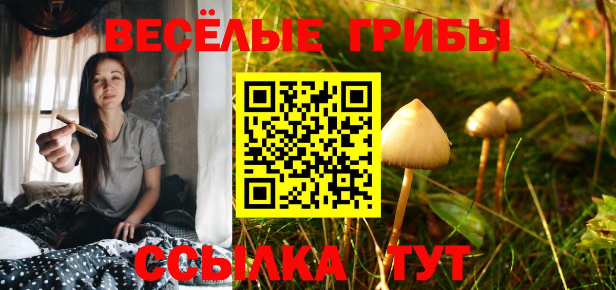 Галлюциногенные грибы MAGIC MUSHROOMS Котовск